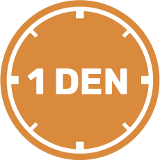 icon-1